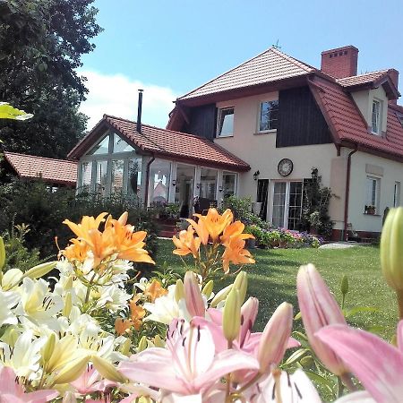 Willa Za Debami Glogow (Glogow) Exterior photo